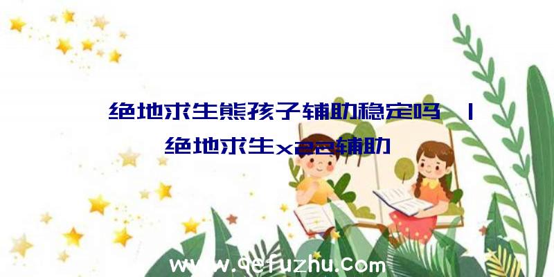 「绝地求生熊孩子辅助稳定吗」|绝地求生x22辅助